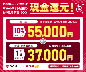 OCN インターネット × ドコモ光